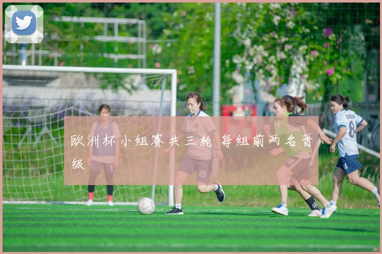 欧洲杯小组赛共三轮 每组前两名晋级