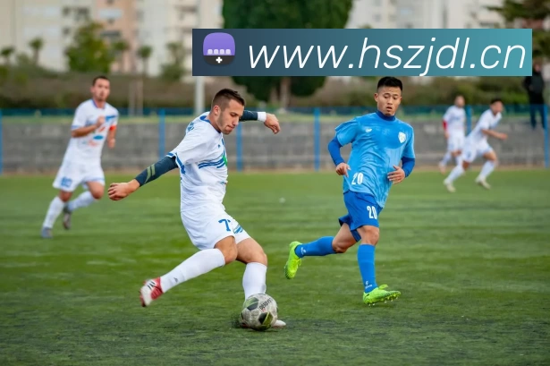 hth网页版登录入口平台生态图