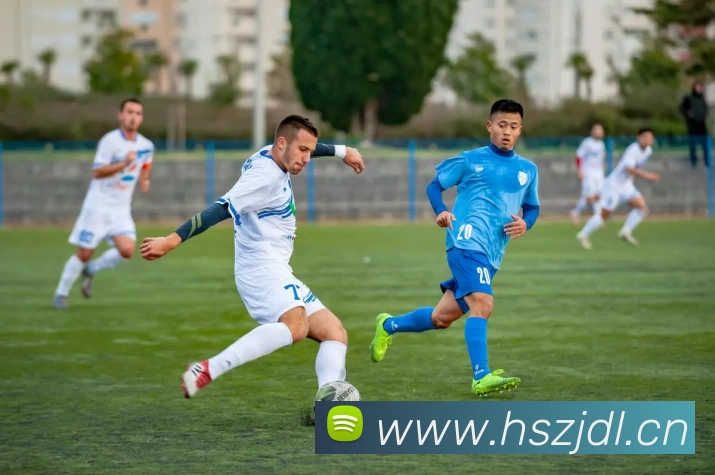 hth网页版登录入口APP 封面图